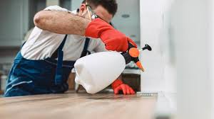 Best Real Estate Pest Inspections  in Angola, NY